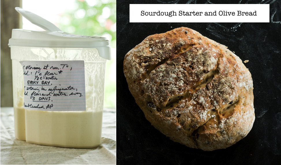 Sourdough Starter